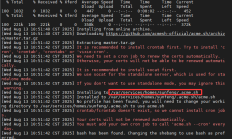 群晖SynologyNAS DSM通过 acme.sh 实现域名证书自动更新